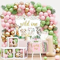 Wild One Birthday Decorations, First Birthday Decorations Girl, Baby First Birthday Themes, Baby Birthday Party Theme, Monthly Photo Banner, 16th Birthday Decorations, 1st Birthday Girl Decorations, Crown Pink, Baby Birthday Themes