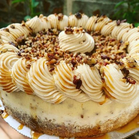 Best-ever butter pecan cheesecake