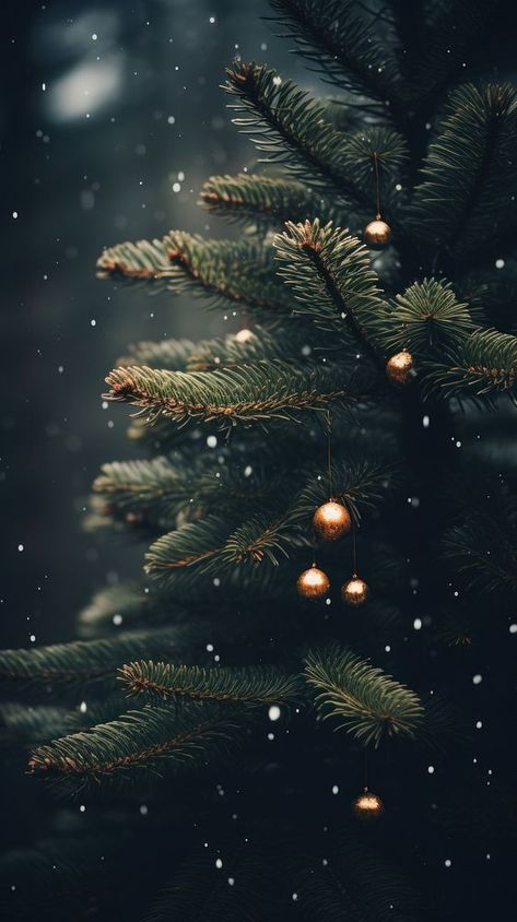 Spruce tree christmas winter plant.  | premium image by rawpixel.com / Pinn Dark Winter Iphone Wallpaper, Moody Christmas Wallpaper Iphone, Dark Academia Christmas Wallpaper, Dark Academia Christmas Aesthetic, Christmas Wallpaper Tree, Aesthetic Christmas Wallpaper Vintage, Dark Winter Aesthetic Wallpaper, Christmas Wallpaper For Laptop, Noel Background