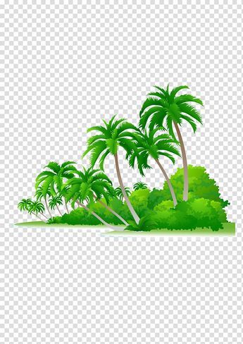 Palm Tree Images, Flower Poetry, Palm Tree Png, Png Images For Editing, Green Coconut, Photo Frame Wallpaper, Photoshop Design Ideas, Photoshop Backgrounds Free, Cartoon House