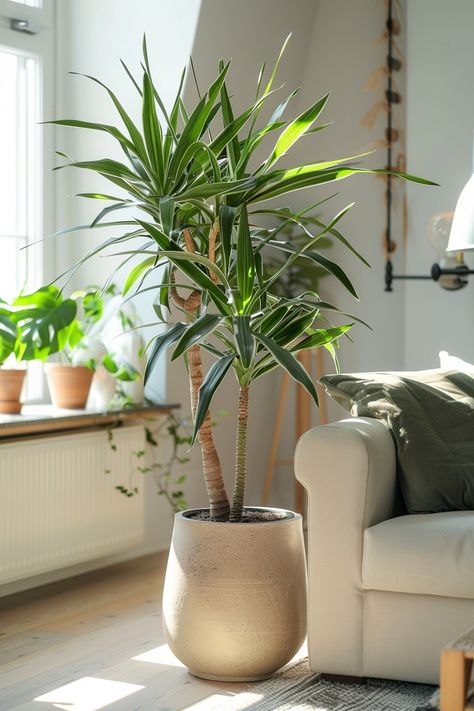 10 Stylish Large Plants for Living Rooms For A Fresh Look Lounge Plants Decor, Planters For Living Room, Living Room Corner Plants, Dining Room Plants, Tall House Plants, Indoor Plants Decor Living Room, Plant Decor Living Room, Tall Potted Plants, Big Indoor Plants