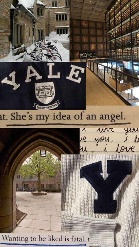 Yale university aesthetic Rory Gilmore girls wallpaper for phones Harvard And Yale, Rory Yale Aesthetic, Yale Wallpaper Iphone, Yale Merch Aesthetic, Ivy League Law School, Yale Business School, Yale Campus Aesthetic, Rory Gilmore Yale Aesthetic, Yale Law Aesthetic