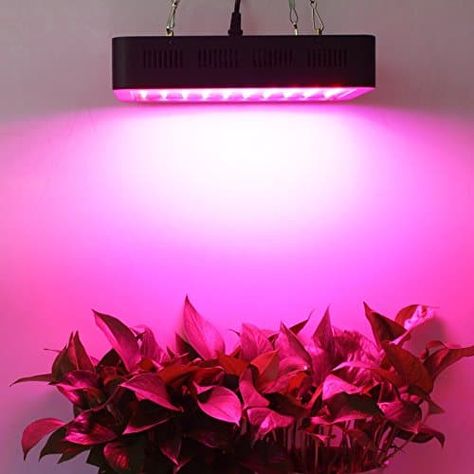 Today we will learn what color light is best for plant growth, all you need to know about plant growth with light colors is here. Indoor Plant Lights, Indoor Grow Lights, Flower Seedlings, Best Led Grow Lights, Light Hanger, Grow Light Bulbs, Grow Lamps, Grow Lights For Plants, Led Grow Light