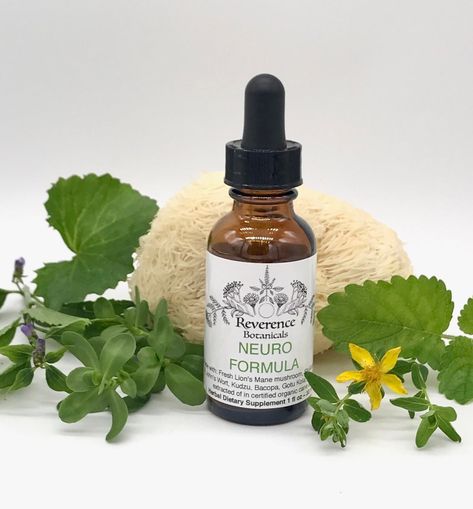 Herbs To Calm Nerves, Herbs For Nerve Damage, Nettle For Hormone Balance, Stinging Nettle Tincture Benefits, Mullein Leaf Tincture, Herbal Tinctures, Herbal Extracts, Nerve, Family Farm