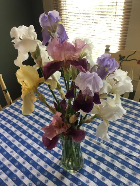 Iris bouquet after raiding my garden beds Bouquet D’iris, Wedding Bouquets Iris, Iris Boutonniere, Iris Flowers Bouquet, Iris Flower Bouquet, Iris Wedding Flowers, Iris Wedding Bouquet, Wlw Wedding, Iris Wedding