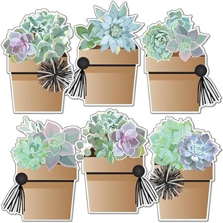 Check out this list Fun Classroom Decorations from Jennifer Geigel Succulents Colorful, Cubby Tags, Succulent Theme, Classroom Accessories, Birthday Bulletin Boards, Potted Succulents, Carson Dellosa, Class Decoration, Classroom Design