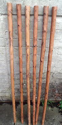 Shafts for Stickmaking. 3 PEELED CHESTNUT WOOD SHANKS FOR STICKMAKING. CHESTNUTS WALKING STICK SHANKS. Our walking sticks and canes are made of handcrafted wood and high quality materials like beech, ash, chestnut, ebony and sterling silver. Wood Hiking Stick, Handmade Walking Sticks, Carved Walking Sticks, Hiking Staff, Wooden Walking Canes, Hand Carved Walking Sticks, Canes And Walking Sticks, Wooden Walking Sticks, Walking Sticks And Canes