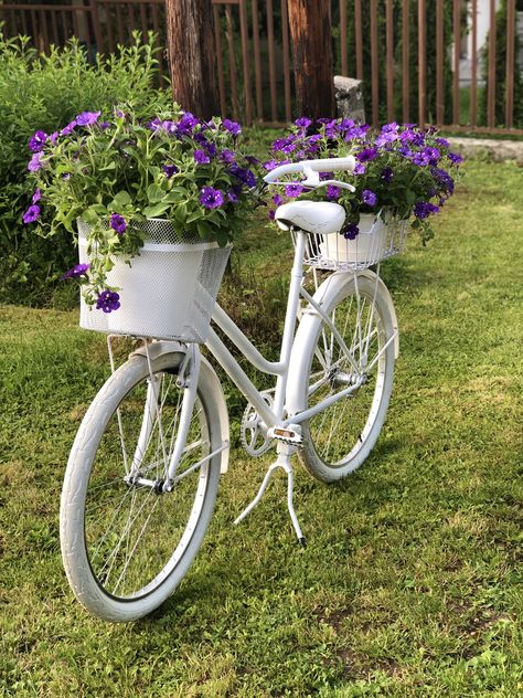 Bicycle Planter Ideas, Garden Bicycle, Bicycle Planter, Unique Event Decor, Recycled Ideas, Bike Planter, Gardening Aesthetic, Unique Garden Decor, Bicycle Decor