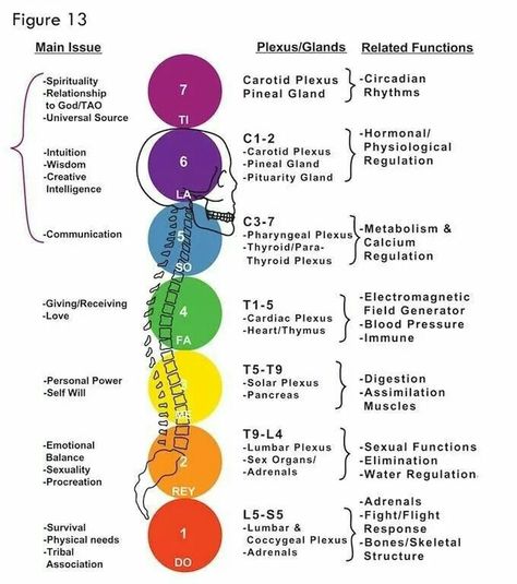 7 Chakras Explained