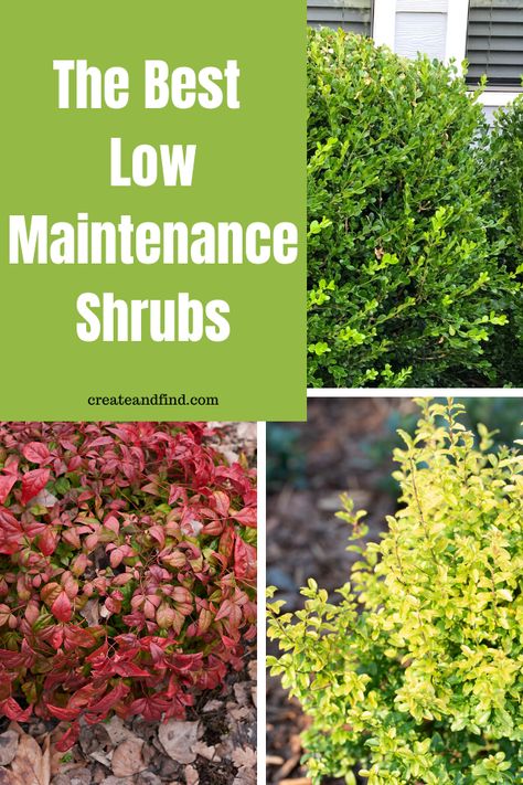 Easy Landscaping Front Yard, Landscape Ideas Front Yard Curb Appeal, Shrubs For Landscaping, Landscaping Shrubs, Landscaping Around House, Porch Landscaping, Low Maintenance Shrubs, Yard Landscaping Simple, Small Front Yard Landscaping