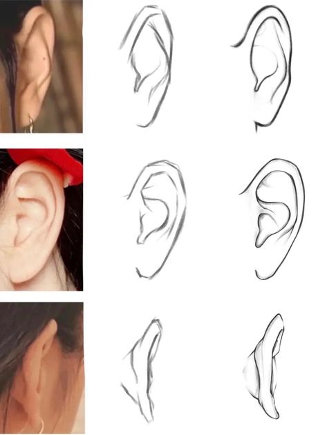 Ear Drawing Front View, Side Profile Reference Female, How To Draw A Ear, Ear Digital Art, Ear References Drawing, How To Draw An Ear, Realistic Ear Drawing, Piercing Drawing Reference, Whispering In Ear Drawing Reference