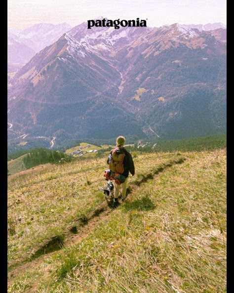 Alps Aesthetic, Patagonia Hiking, Dorm Art, Vintage Poster Design, Posters For Room, Vintage Patagonia, Nature Posters, Granola Girl, The Alps