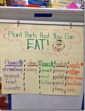 plant parts chart First Grade Plant Activities, Trees Anchor Chart, Plants 1st Grade, Science Plants, Plant Lessons, Grade 3 Science, Plant Parts, Tree Map, Plants Unit