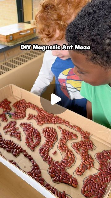 Elizabeth ✨ Preschool for You on Instagram: "Magnetic Ant Maze 🐜  I made this with my class a few years ago but it was so much fun I find myself pulling it out of the closet every spring. To begin, I drew ant tunnels and then the kids glued on the beans. The ant is from our toy bug collection and I simply hot glued it to a small magnet. The ant “moves” by connecting to another magnet underneath the box lid✨  • • • • •  #antmaze #ants #stemforkids #learningthroughplay #bugs #insectstudy #playislearning #preschool #prek #preschoolclassroom #diygames #cardboardcrafts #recycleandplay #sustainableplay #stemeducation #stemactivities #stemactivitiesforkids #scienceforkids #earlychildhoodeducation #reggioinspired #reggioinspiredteachers #playbasedlearning #learningthroughnature #natureplay #early Ants For Preschoolers, Ant Activity For Kids, Creepy Crawlies Craft For Kids, Ant Tunnels, Ant Activity For Preschool, Insects Activities Preschool, Insects Activities For Kids, Bug Activities Preschool, Insects Preschool Activities