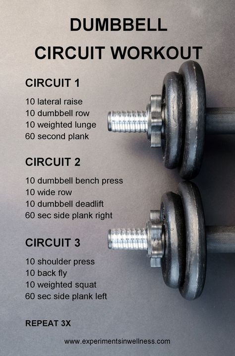 Daily Workouts, Crossfit Dumbbell Workout, Dumbbell Workout Routine, Fitness Studio Training, Full Body Dumbbell Workout, Gym Antrenmanları, Dumbell Workout, Interval Workout, Yoga Video