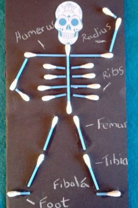 Educational Crafts For Kids, Human Body Crafts, Human Body Projects, 123 Homeschool 4 Me, Human Body Activities, Body Bones, Body Craft, Fun Indoor Activities, Lacing Cards