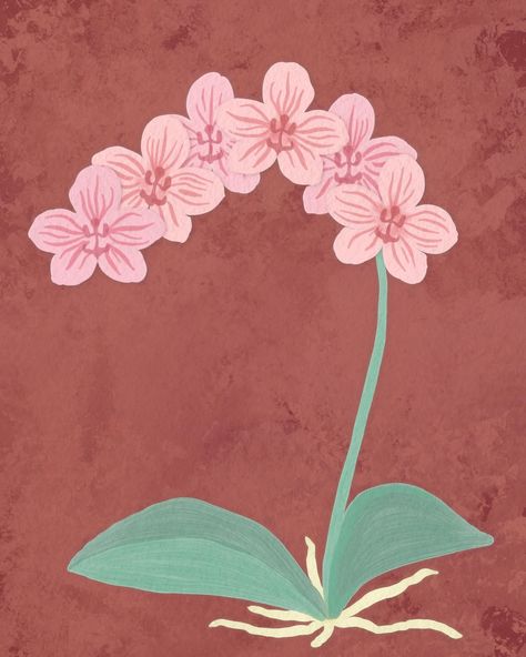 Another orchid for you today! I painted this in Procreate with my Gouache Magic brushes, and this was also painted as part of a project for the Asheville Orchid Festival, like the cattleya I posted recently. The final festival poster design is coming soon! #phalaenopsis #orchid #procreatepainting #digitalpainting #feelingpink Orchid Artwork, Recently Saved, Festival Poster Design, Orchid Illustration, Orchid Wallpaper, Orchid Art, Orchids Painting, Orchid Print, Water Paint