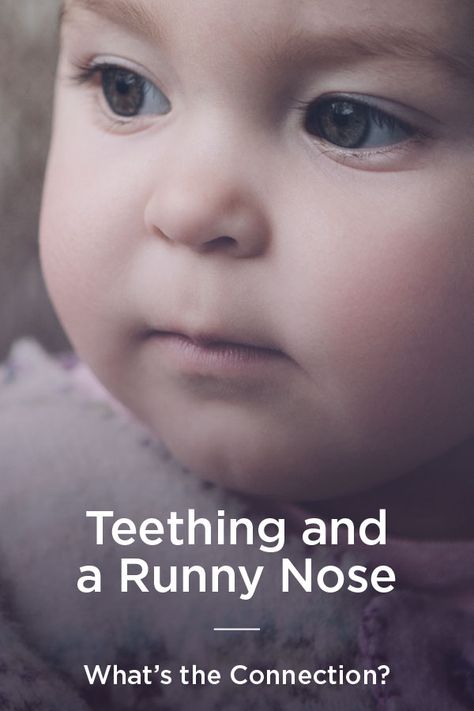 Baby Runny Nose Remedies, Baby Runny Nose, Teething Signs, Hooked Nose, Teething Symptoms, Blocked Nose, Baby Remedies, Teething Remedies, Baby Sleep Schedule