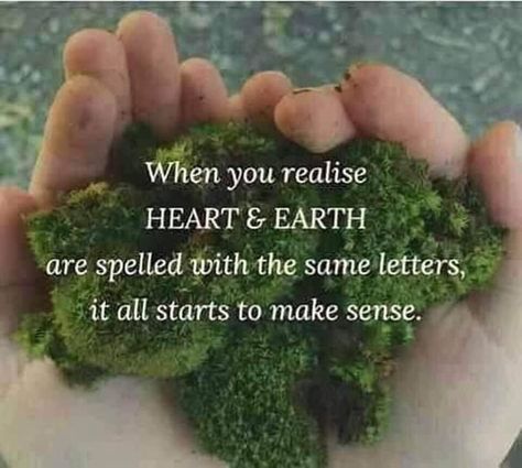 SelineSigil on Twitter: "🤗… " Mother Earth Quotes, Earth Day Quotes, Environmental Quotes, Earth Quotes, Happy Earth, Day Quotes, When You Realize, Save Earth, Nature Quotes