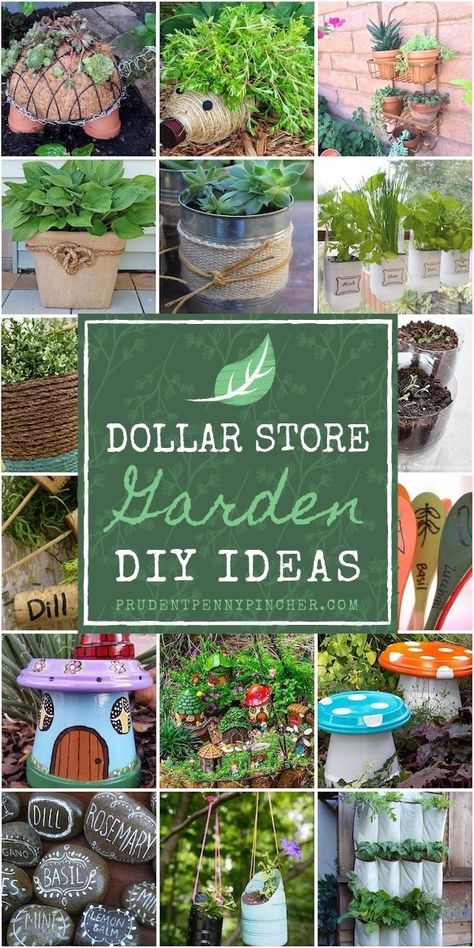 Dollar Tree Garden Ideas, Garden Ideas Diy Cheap, Funny Vine, Garden Ideas Diy, Garden Diy Ideas, Diy Store, Miniature Gardens, Concrete Garden, 100 Dollar