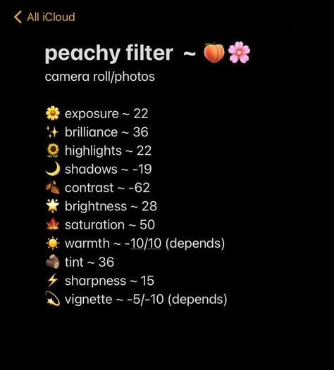 Aesthetic Filter Photos, How To Get Aesthetic Filters, Photo Edit Adjustments, Peach Filter Aesthetic, Cute Aesthetic Filters, I Phone Filter Code, Soft Pink Filter Camera Roll, Cool Tone Filter Iphone, Cute Photo Filters Iphone