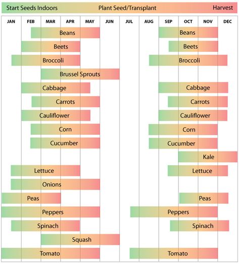 Permaculture, Zone 9 Planting Schedule, Zone 9 Gardening, Vegetable Planting Calendar, Planting Schedule, Vegetable Planting Guide, Vegetable Planting, Arizona Gardening, When To Plant Vegetables