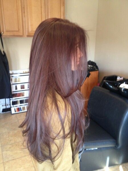 Hair Dye On Wavy Hair, Aesthetic Natural Hair Colors, Haircut And Dye Ideas, Brownish Red Hair, Hair Color Brown Chestnut, Chestnut Brown Hair, Long Brown Hair, Haircuts For Long Hair, Long Straight Hair