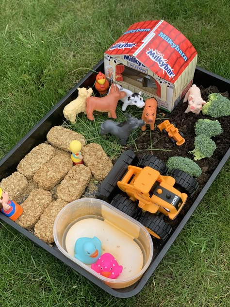 Tuff Tray Ideas Toddlers, Tuff Tray Ideas, Farm Play, Farm Animals Activities, Sensory Tray, Tuff Spot, Baby Sensory Play, Eyfs Activities, Nursery Activities