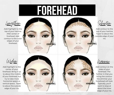 How To Contour for Your Features & Face Shape - Kendra Powell Rectangle Face Makeup, Forehead Contour, Round Hairline, Heart Shaped Face Makeup Contouring, Contour Oblong Face Shape, Contour To Make Face Fuller, Contouring And Highlighting Oval Face, How To Contour A Diamond Shaped Face, Contour According To Face Shape