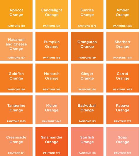 ORANGES - bridesmaid dresses can be any of these, except starfish and soap orange - alright maybe starfish... February Colors, Pinwheel Block, Orange Sherbet, Color Analysis, Orange And Yellow, The Blocks, Pumpkin Orange, Pantone Color, Color Shades