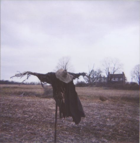 Creepy Scarecrow Southern Gothic Aesthetic, Idle Game, American Gothic, Over The Garden Wall, Southern Gothic, Gothic Aesthetic, Arte Fantasy, Scarecrow, Dark Aesthetic