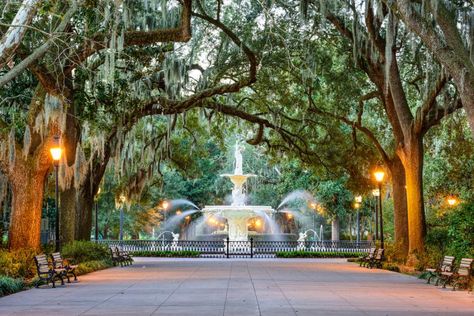 This little big town is a Southern wonderland. Visit Savannah, Cheap Places To Travel, East Coast Road Trip, Forsyth Park, Ghost Tour, Tybee Island, Spanish Moss, Savannah Georgia, Honeymoon Destinations