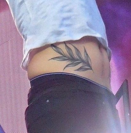 Love Handle Tattoo, Harry Styles Details, Fern Tattoo, Leaf Tattoo, Belly Tattoo, Harry Styles Photos, Love Handles, Summer Feeling, Harry Edward Styles