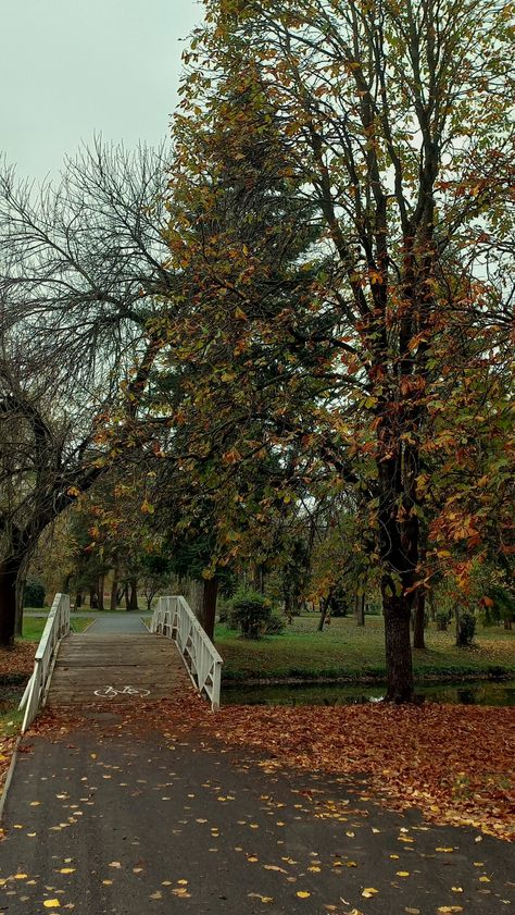 Cloudy Weather Aesthetic, Fall Weather Aesthetic, Huge Aesthetic, Cloudy Day Aesthetic, Cloudy Fall Day, Sweater Weather Aesthetic, Fall Astethic, November Weather, August Weather