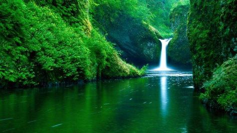 waterfall, Water, Nature, Landscape, Green, River, Forest HD Wallpaper Desktop Background Desktop Background Nature, Nature Desktop Wallpaper, Green Nature Wallpaper, Pc Desktop Wallpaper, Nature Desktop, Waterfall Wallpaper, Mobile Backgrounds, Iphone Wallpaper Landscape, River Forest