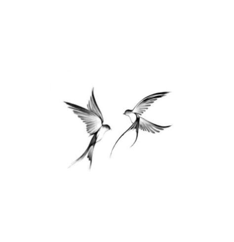 Sparrow Tattoo For Couples, Angel Bird Tattoo, Two Swallows Tattoo, Free Bird Tattoo, Swallow Tattoos, Swallow Tattoo Design, Swallow Bird Tattoos, Little Bird Tattoos, Bird Tattoos For Women