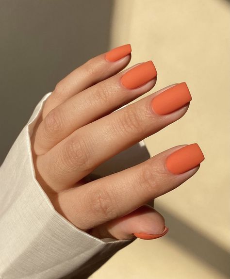 Matte Orange Nails Short, Cute Solid Color Nails Fall, Matt Orange Nails, Burnt Orange Dip Powder Nails, Orange Nails Ideas Short, Matte Fall Nails Autumn Short, Burnt Orange Nail Color, Wedding Nails Terracotta, Simple Fall Nails Orange