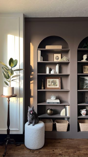 Brown Painted Bookshelves, Brown Built In Bookshelves, Purple Built Ins, Dark Brown Built Ins Living Room, London Clay Paint, Brown Built In Shelves Living Room, Built In Bookshelf Painting Ideas, Black Living Room Built Ins, Dark Brown Built Ins