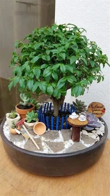 Indoor Fairy Garden Ideas, Fairy Garden Box, Miniature Garden Design, Indoor Fairy Garden, Diy Miniature Garden, Miniature Garden Decor, Miniature Zen Garden, Indoor Fairy Gardens, Tattoo Plant