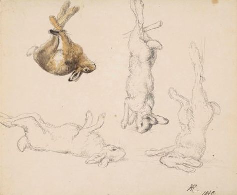 Henriette Ronner-Knip (Amsterdam 1821-1909 Brussels) | A dead rabbit | 19th Century, Drawings & Watercolors | Christie's Two Rabbits Drawing, Rabbit Jumping Drawing, Realistic Rabbit Drawing, Two Headed Rabbit, Rabbits Drawing, Dead Animal Drawing, Bunny Laying Down Drawing, Rabbit Anatomy Illustration, Rabbit Reference