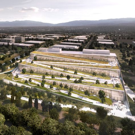 Google Campus, Big Architects, Low Water Landscaping, Sunnyvale California, Terrace Building, Projects Design, Bjarke Ingels, Landscape Architecture Design, Big Design