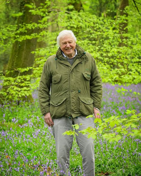 Gavin Thurston | Sir David Attenborough amongst bluebells. Photographed for @humblebeefilms ‘Secret World of Sound’ series, May 2023.… | Instagram Sir David Attenborough, British Icons, David Attenborough, May 2023, Nobel Prize, Hair Inspo, Documentaries, Canon, Sound