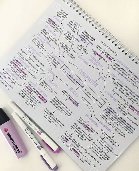 The use of Purples Struktur Teks, Studie Hacks, خريطة ذهنية, Studera Motivation, College Notes, My Notes, School Organization Notes, Seni Dan Kraf, Study Board