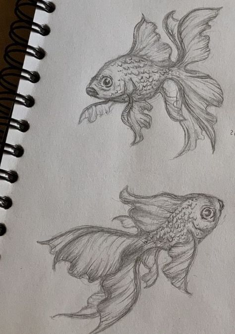 Surreal Sketch Pencil Drawings, Underwater Animals Drawing, Full Page Drawings, Sea Animals Drawing, Summer Sketches, Fish Sketch, Fish Drawing, Doodle Art Designs, Pencil Art Drawings