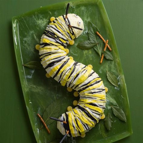 Caterpillar Cake | "This is a great cake to do after a unit on bugs, wildlife, etc. Have the kids help decorate it!" #backtoschool #backtoschoolrecipes #lunchrecipes #snackrecipes #kidfriendlyrecipes #cake #cakerecipes Bug Birthday Cakes, Birthday Cake Recipes, Pineapple Upside Down Cupcakes, Caterpillar Cake, Bug Cake, Pinata Cake, Cake Photos, Vegetarian Cake, Creative Birthday Cakes