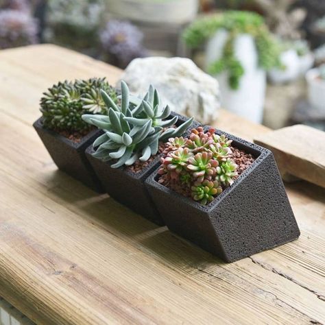 Cacti Houseplant, Cactus Indoor, Houseplant Decor, Tiny Pots, Concrete Desk, Ceramics Bowl, Pot Gantung, Kaktus Dan Sukulen, Pot Craft