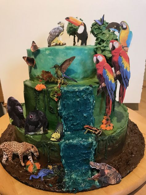 Rain Forest Birthday Cake, Rainforest Cake Birthday, Rainforest Cake Ideas, Rainforest Cake, Rainforest Birthday Party, Amazon Cake, Rainforest Birthday, Jeep Cake, Safari Cake