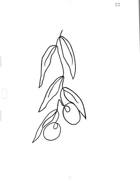 Olive Line Drawing, Olive Tattoo Design, Olive Leaf Tattoo Design, Olive Oil Tattoo, Olive Tree Drawing, Fig Tree Tattoo, Europe Tattoo, Olive Tattoo, Belly Tattoos