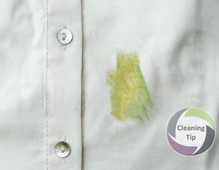 If you have kids it’s guaranteed they will get grass stains while playing outside. You might get them yourself while gardening or doing yardwork. You don’t have to worry though because these green splotches are easy to remove. Here’s our guide on how to get rid of grass stains. #GrassStainRemoval #VinegarUses #StainRemoval #ClothingStainRemoval #DIYStainRemoval How To Remove Grass, Remove Grass Stains, Cleaning Painted Walls, Grass Stains, Glass Cooktop, Deep Cleaning Tips, White Dress Shirt, Remove Stains, Cleaning Ideas