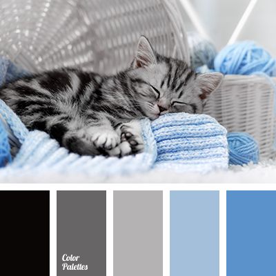 "baby blue" color, black, blue color electrician, color matching, color palette, colors of winter 2018, dark gray, gently blue, gray-pink, light gray, palette of cold tones, shades of blue, shades of cyan, shades of gray, shades of gray-brown, sky blue. Flat Bedroom, In Color Balance, Lighting Makeover, Color Schemes Colour Palettes, Baby Blue Colour, Grey Kitchens, Blue Colour Palette, Color Balance, Kitchen Living Room